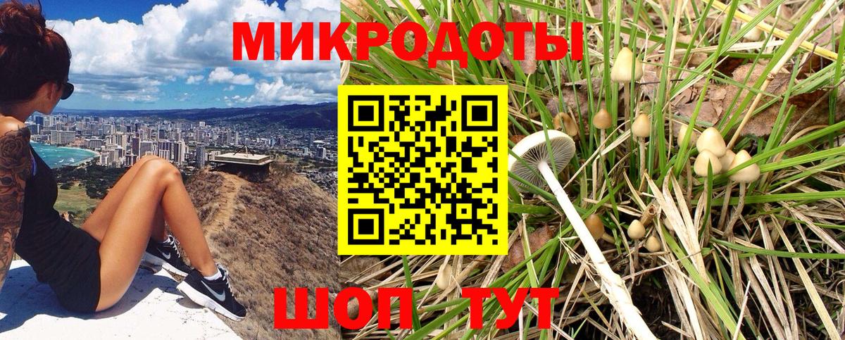 Галлюциногенные грибы Psilocybe  Вход с VPN  Гурьевск 