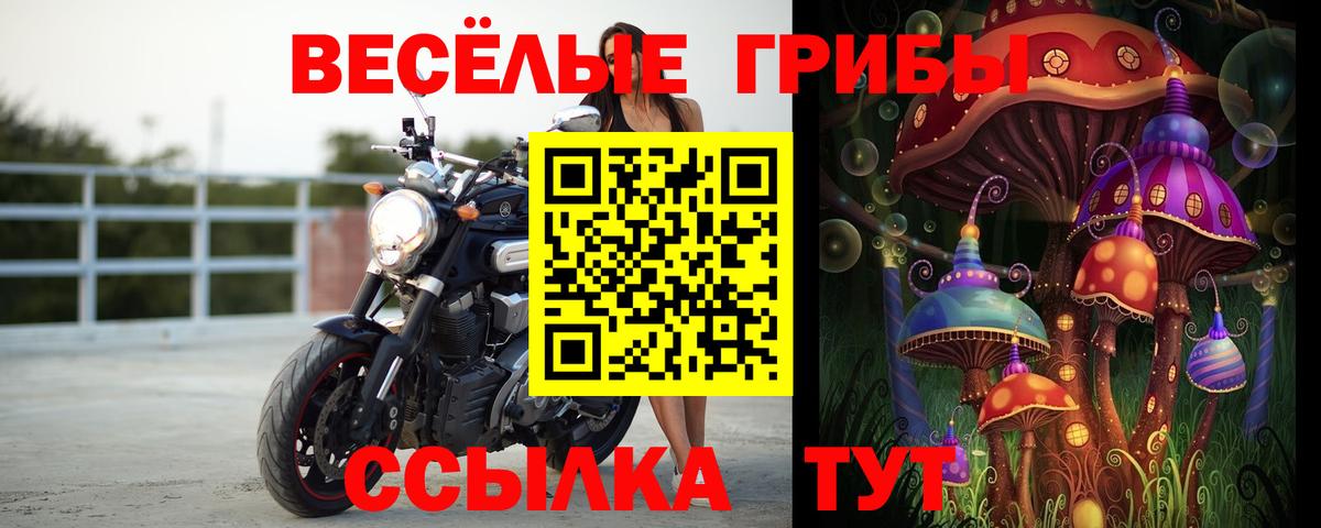 Псилоцибиновые грибы Magic Shrooms Гурьевск